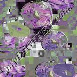 Colour:D