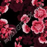 Colour:B