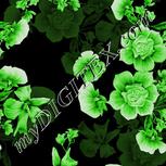 Colour:D