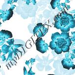 Colour:F