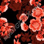 Colour:J