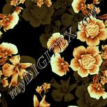 Colour:K