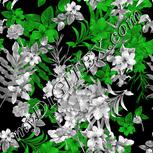 Colour:C