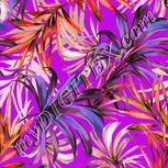 Colour:B