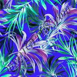Colour:F