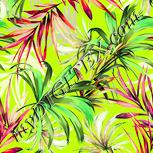 Colour:K