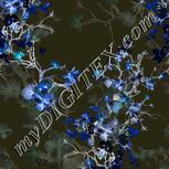 Colour:F
