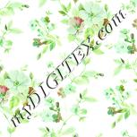 Colour:K
