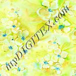 Colour:K