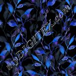 Colour:F