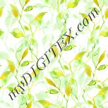 Colour:K