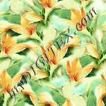 Colour:K
