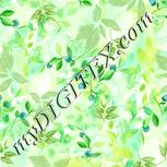 Colour:K