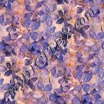Colour:J