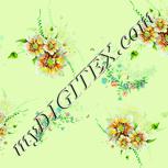 Colour:K
