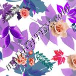 Colour:B