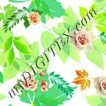 Colour:K