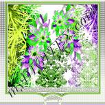 Colour:D