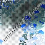 Colour:F