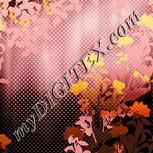 Colour:J