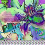 Colour:A
