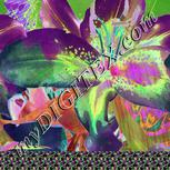 Colour:F