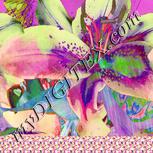 Colour:J