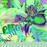 Colour:K