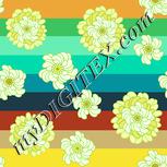 Colour:K