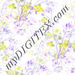 Colour:A