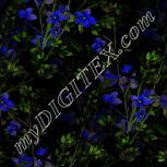Colour:F