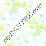 Colour:K