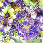 Colour:D