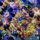 Colour:F