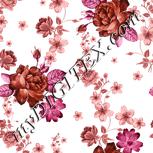 Colour:B