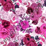 Colour:B