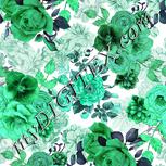 Colour:C