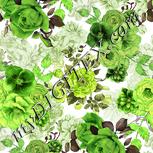 Colour:D