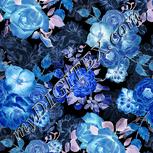Colour:F