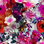 Colour:B