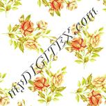 Colour:K