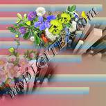 Colour:A