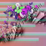 Colour:B