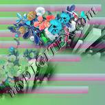 Colour:C