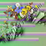 Colour:D