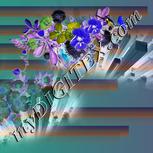 Colour:F