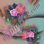Colour:B