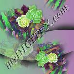 Colour:D