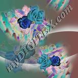 Colour:F