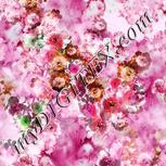 Colour:B